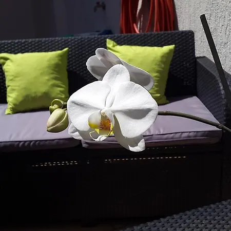 New Lux Kala Apartment