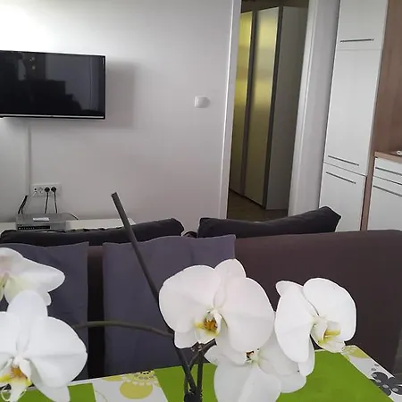 Apartment New Lux Kala *