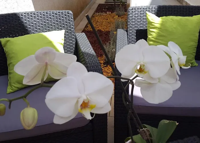 New Lux Kala 波雷奇